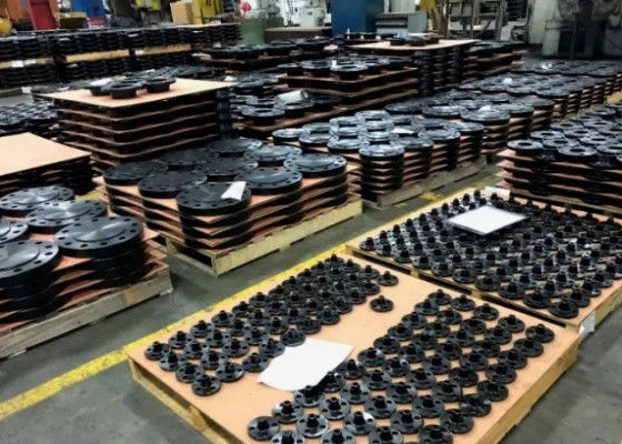 1/2-48 Flanges en acier de classe 900 pour des connexions robustes et des performances fiables
