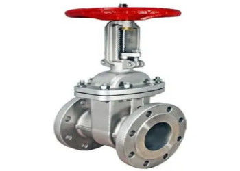 Valve de porte en acier sanitaire OEM personnalisée avec une seule clôture double clôture
