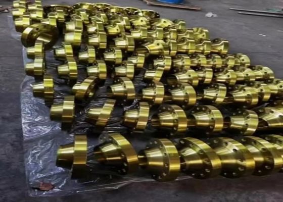 Classe 2500 Flanges en acier galvanisé à chaud pour projets de construction