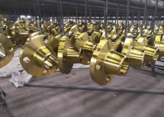 Flanges de tuyaux en acier soudés à dérapage pour les connexions de diaphragme NBR/Viton