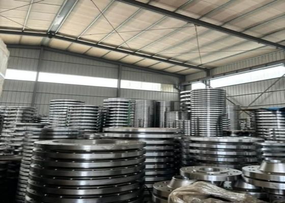 Flanges en acier standard GOST personnalisées en acier coulé/WCB/WC6/corps en acier inoxydable