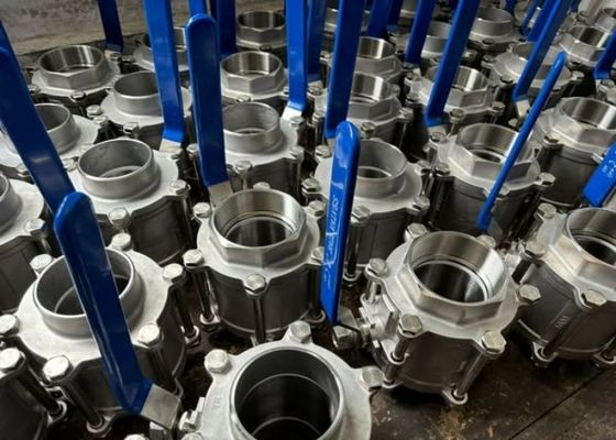 Valve en acier inoxydable de 1/2 pouce pour les applications lourdes et à haute pression
