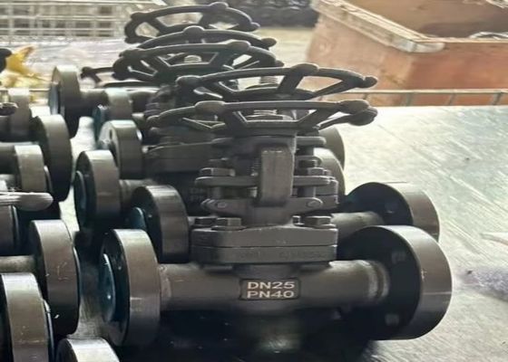 Des soupapes en acier de 1/2 pouce avec le capot boulonné et un support personnalisé