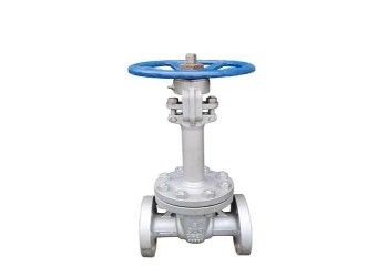 Vanne papillon manuelle à simple disque en acier inoxydable DN10-DN50