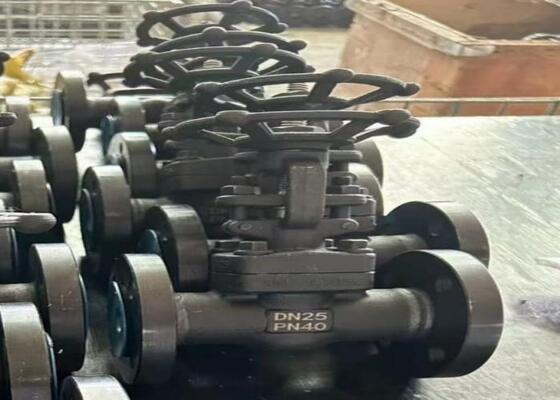 Valve manuelle de porte en acier avec capot boulonné DN10-DN50 150lb-1500lb haute résistance à la corrosion