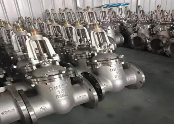 Valve d'entrée en acier standard API avec fonctionnement manuel et capot boulonné pour environnements industriels difficiles
